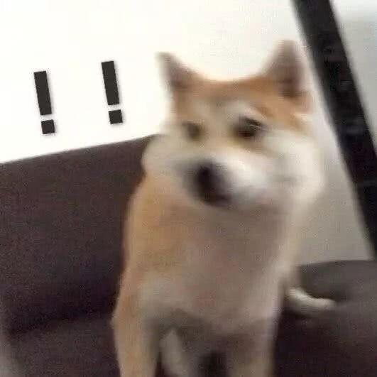 布纳纳纳纳
