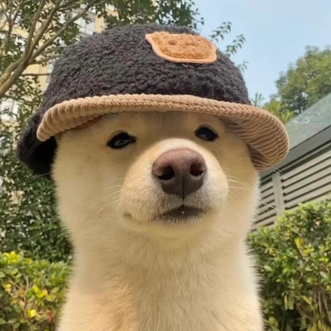 IQ不长肌肉