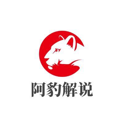 阿豹解说