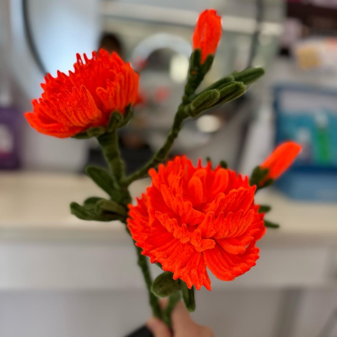 笔芯❤️✧٩(ˊωˋ*)و✧
