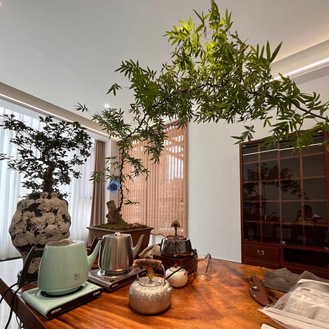 子琪山房酒别枞逢茶空间