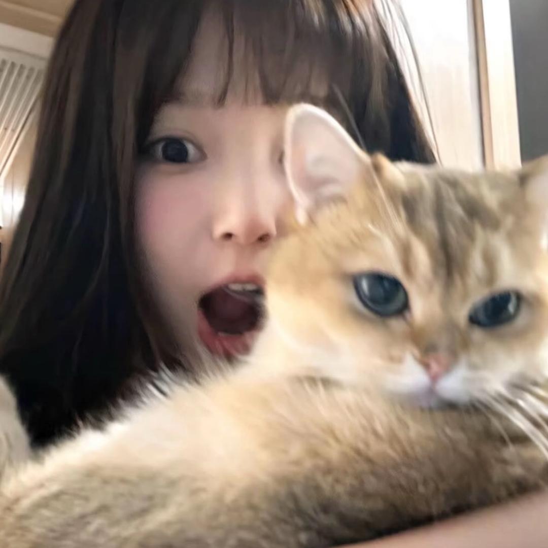 沦陷