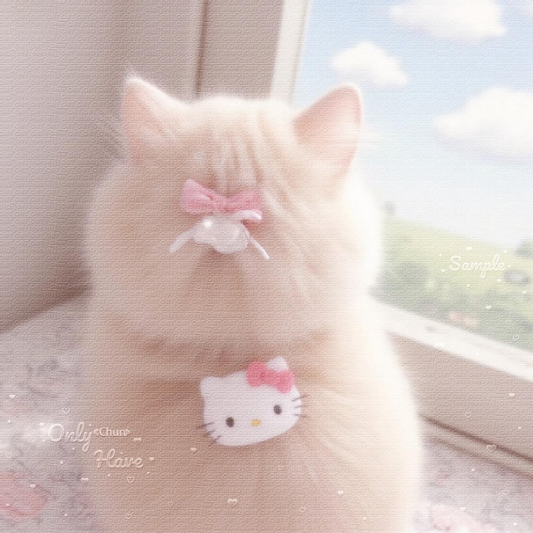 ⌯Siᴗ<⌯ಣ