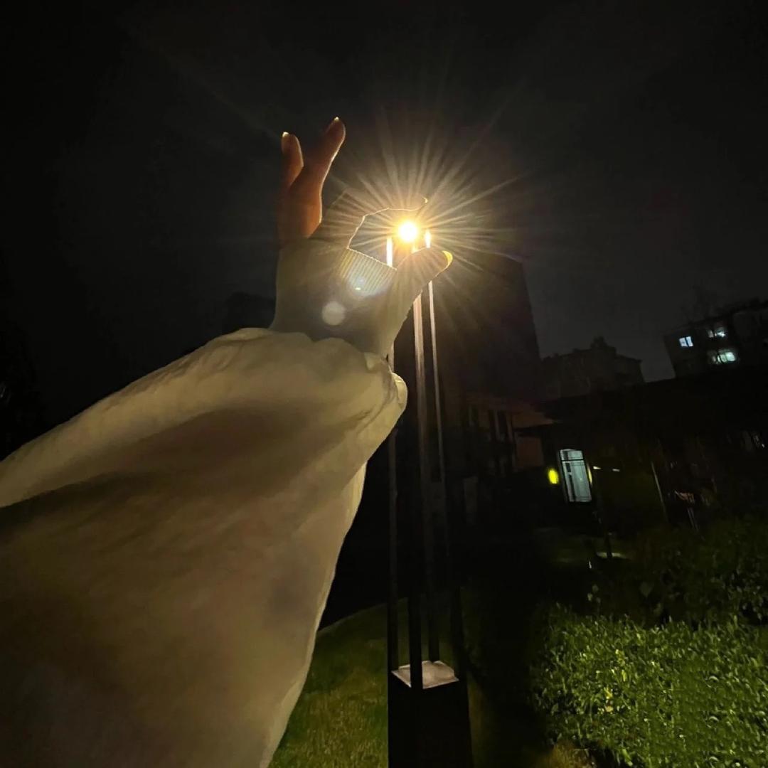 🌵金光灿灿🌼