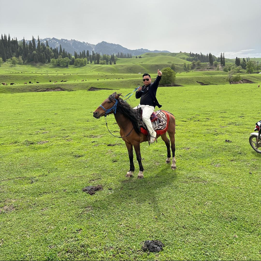 东莞市合贤二手车-谢大胆