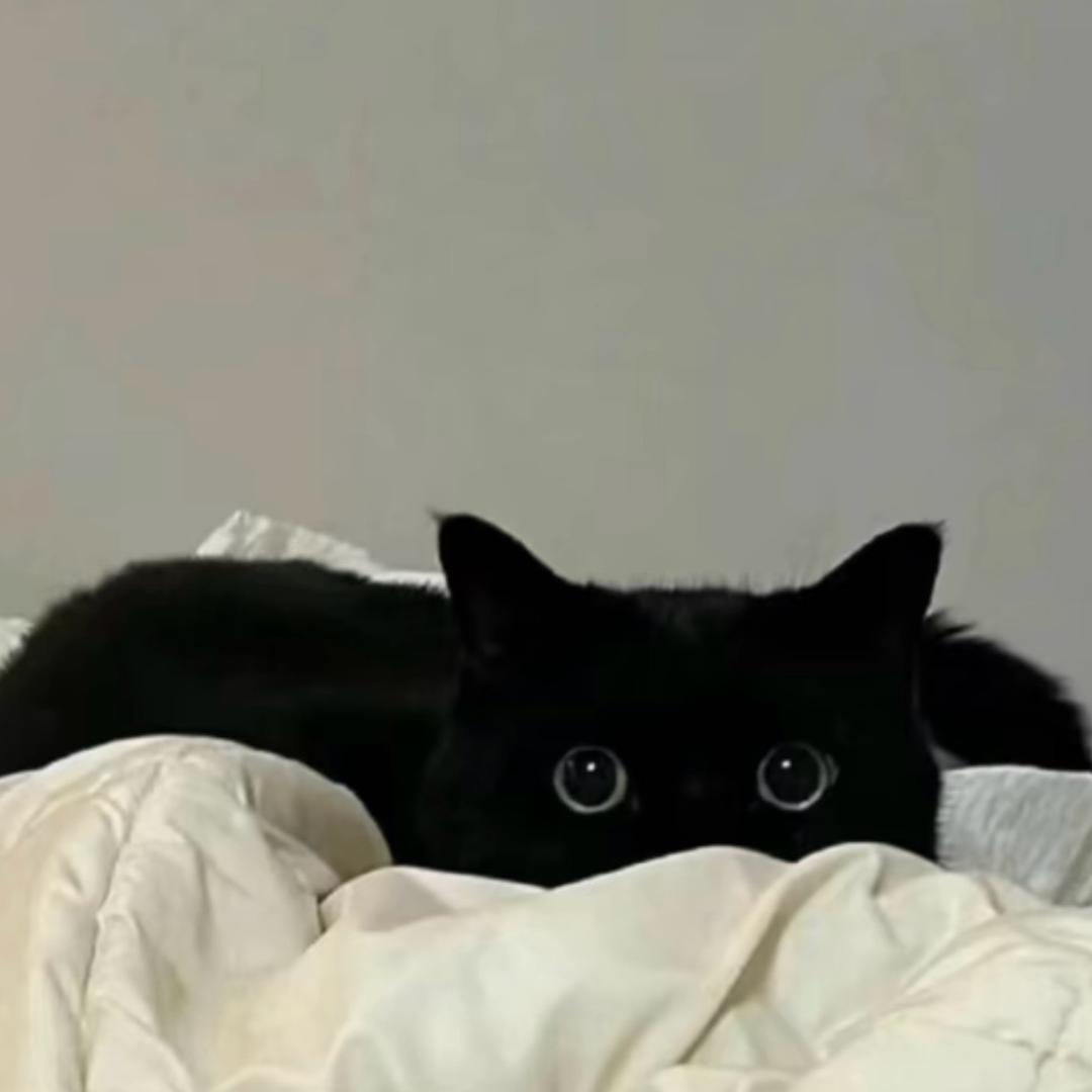 🧊