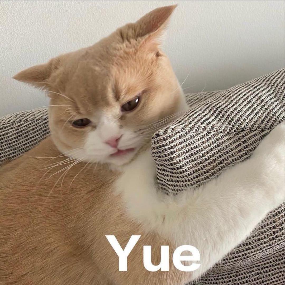 黎明