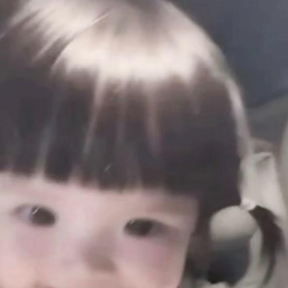 布偶