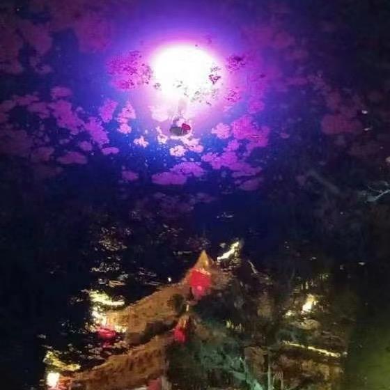 池鱼思故渊
