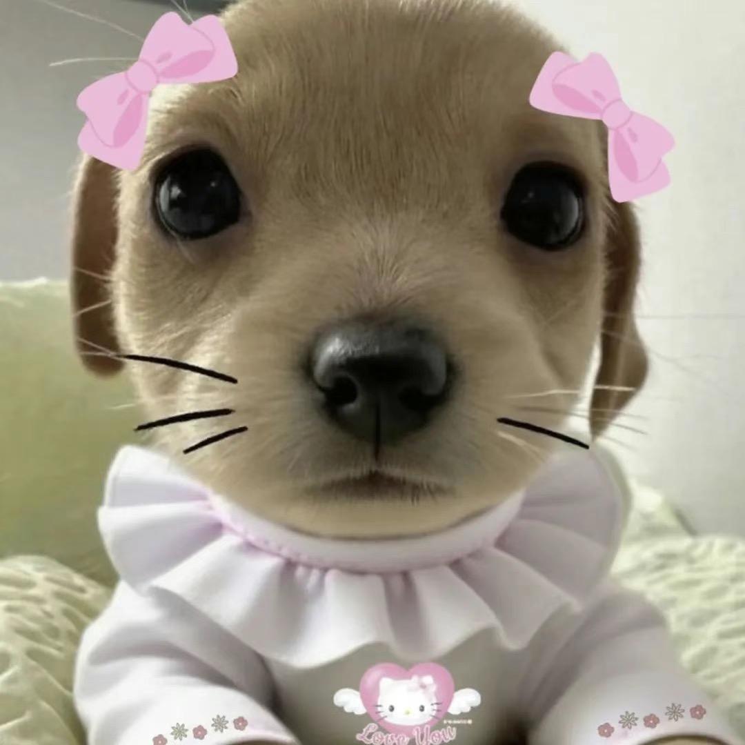 小纽扣
