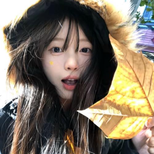 懒羊羊大王.