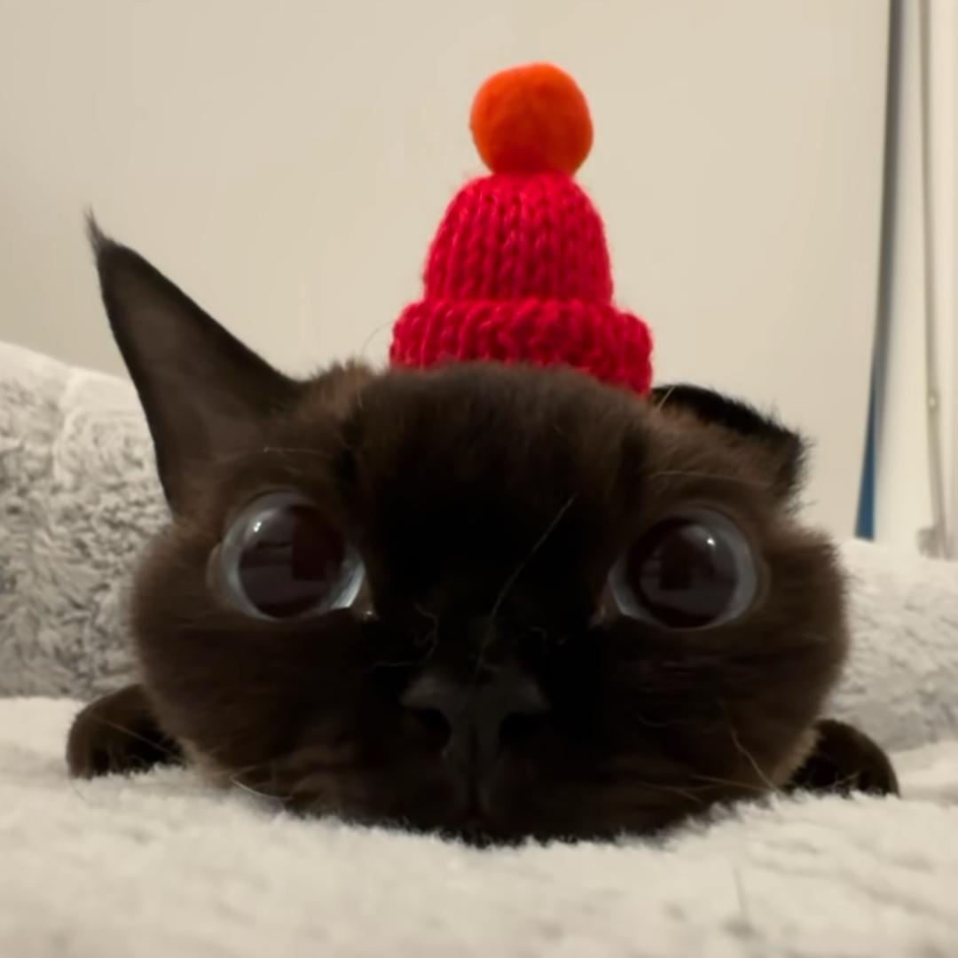xuu