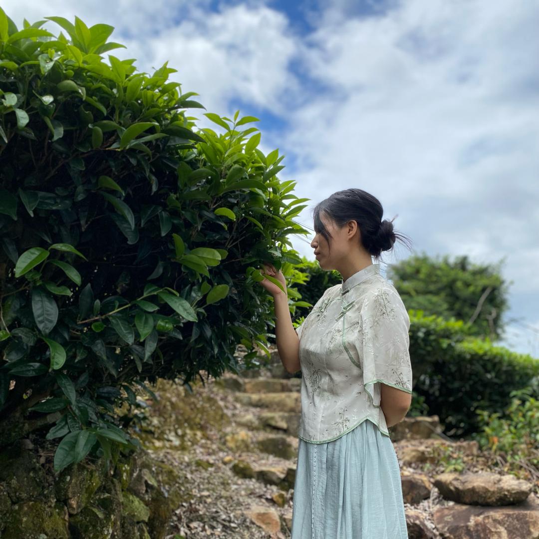 美丽家茶园