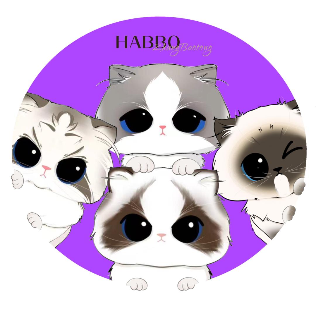 张宝彤的布偶猫