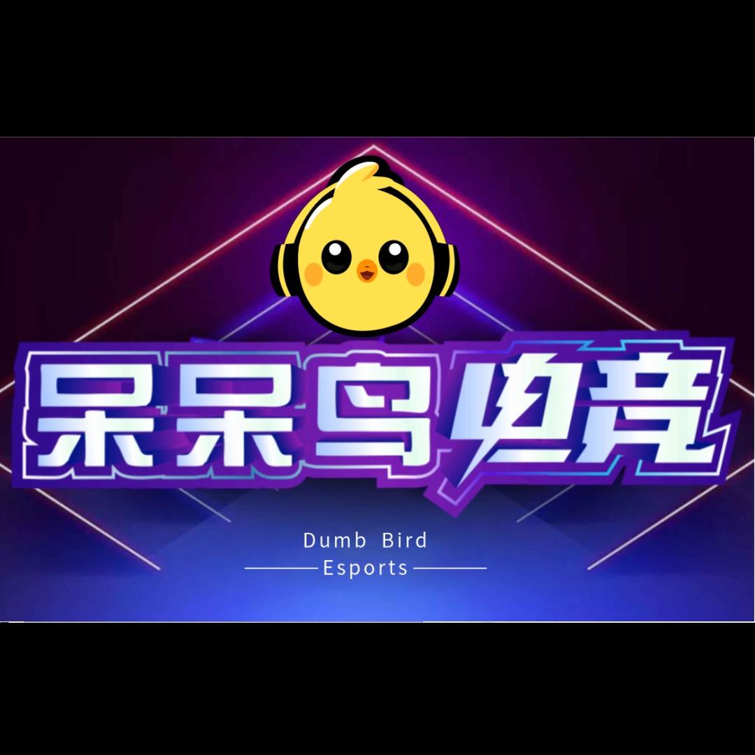 呆呆鸟电竞