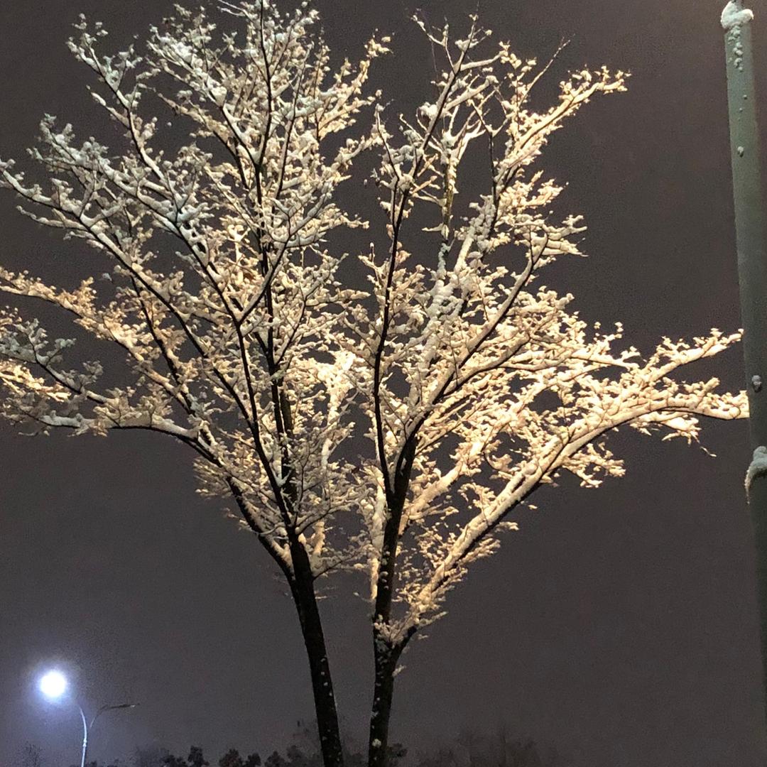 放宽心，健康就好