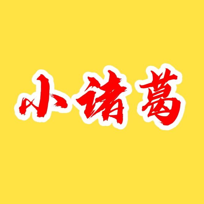 小诸葛.