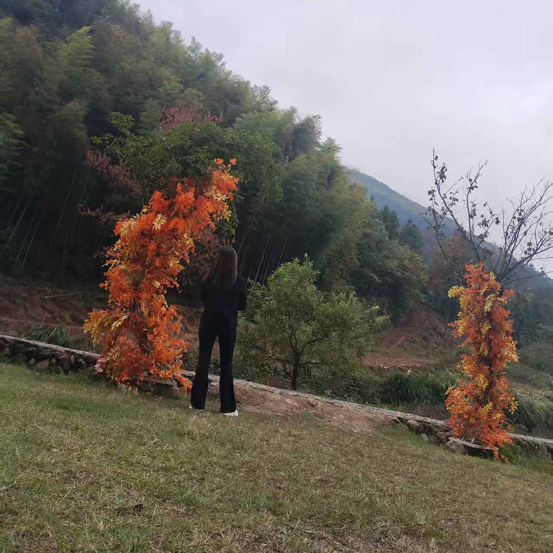 小芳饭团🍙（养娃中）