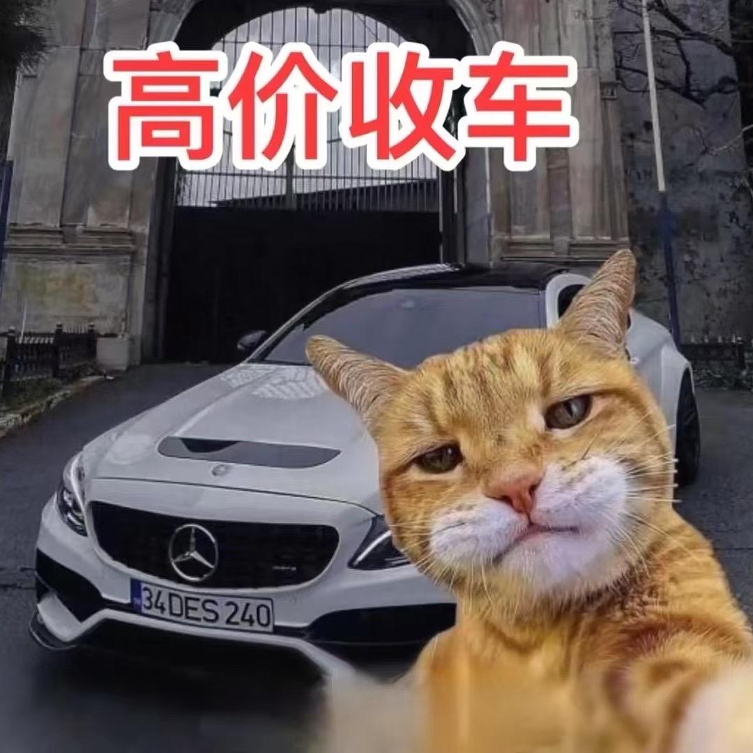 玖.弦