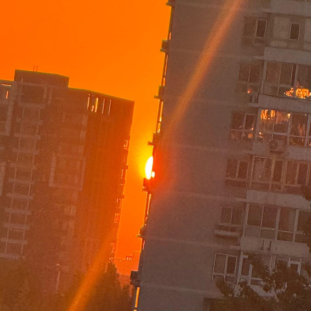 冬芽