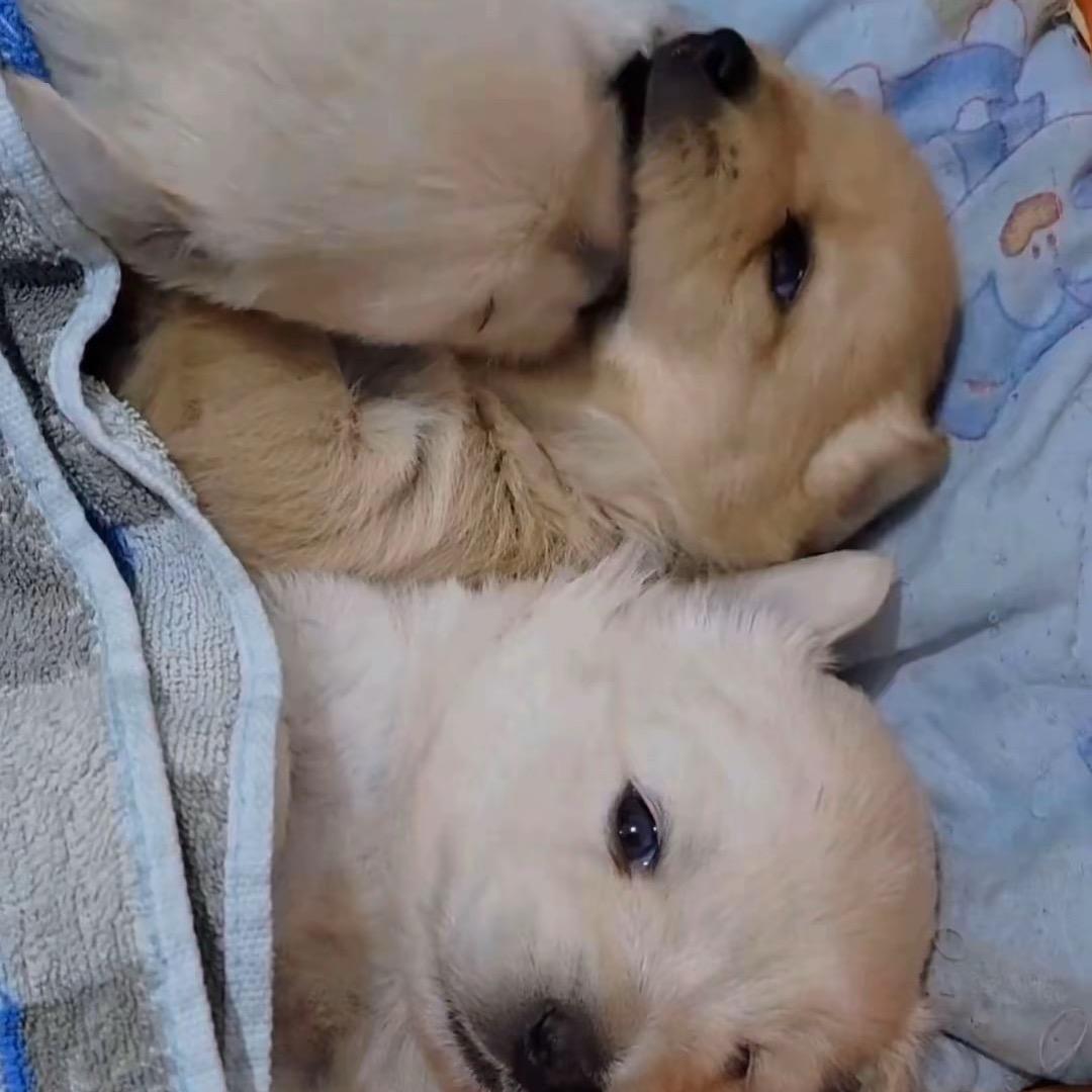 晓晓້໌ᮨ  ້໌ᮨ