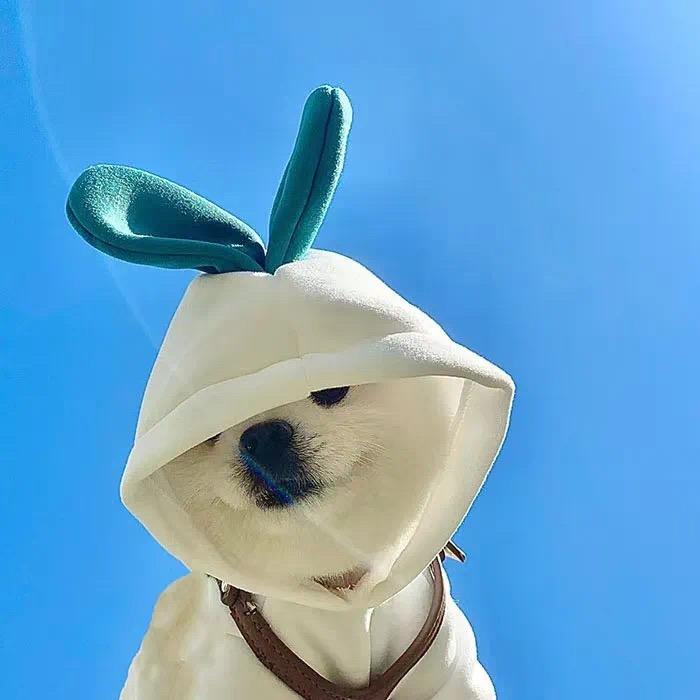 Casper在澳洲🦘