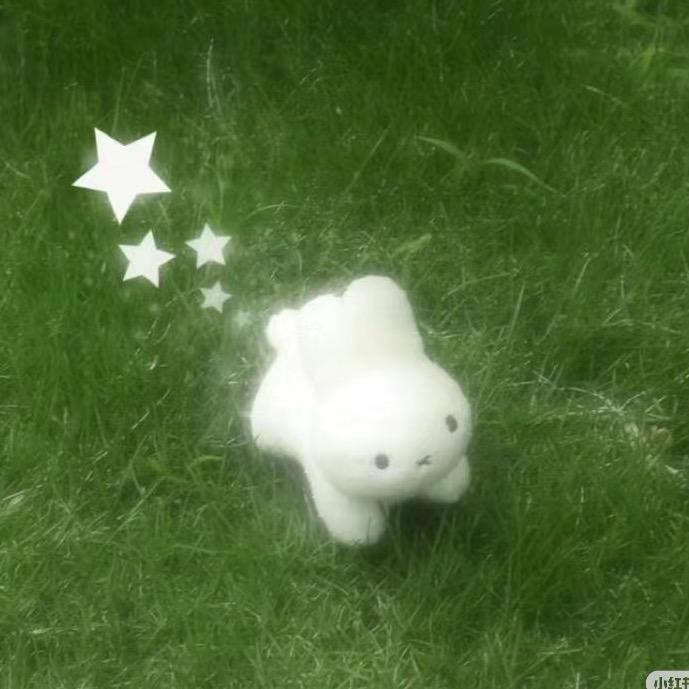 海上愿