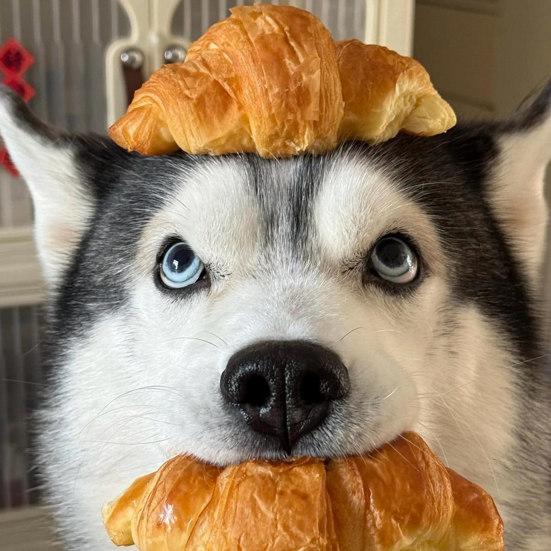 🥔🥦