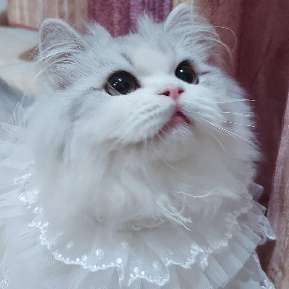 小一呀