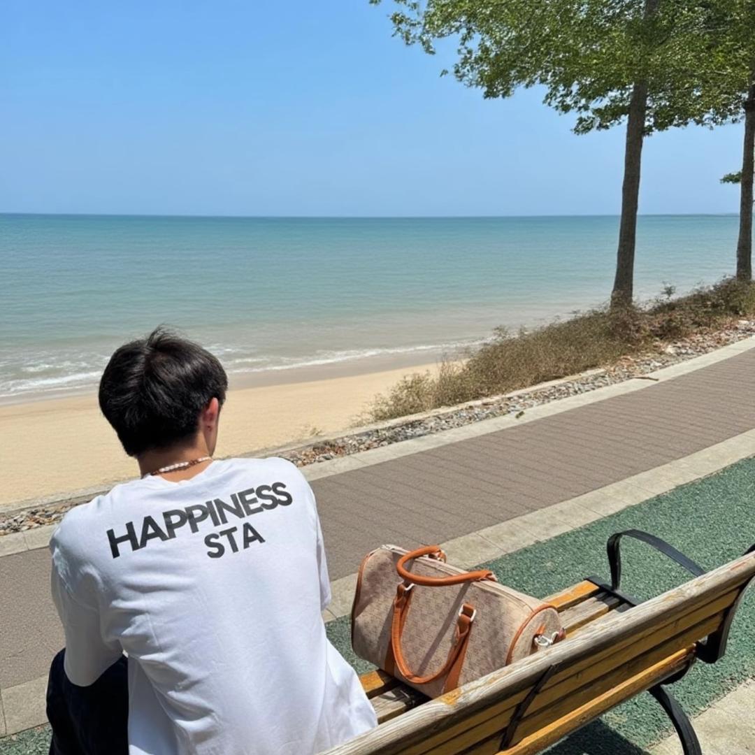 疾风中的帆