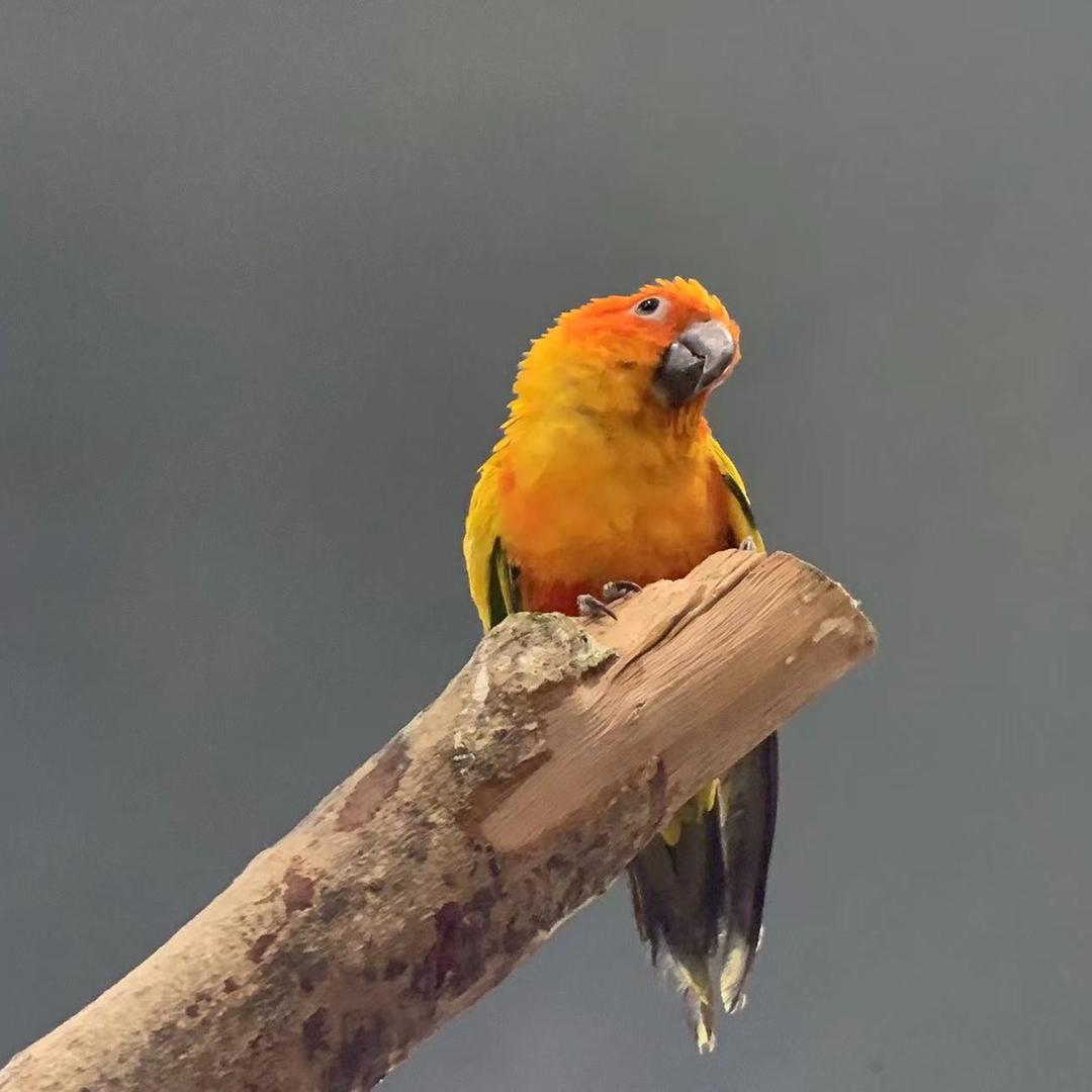 💐((🌺⥎🌺))🌹去有风的地方
