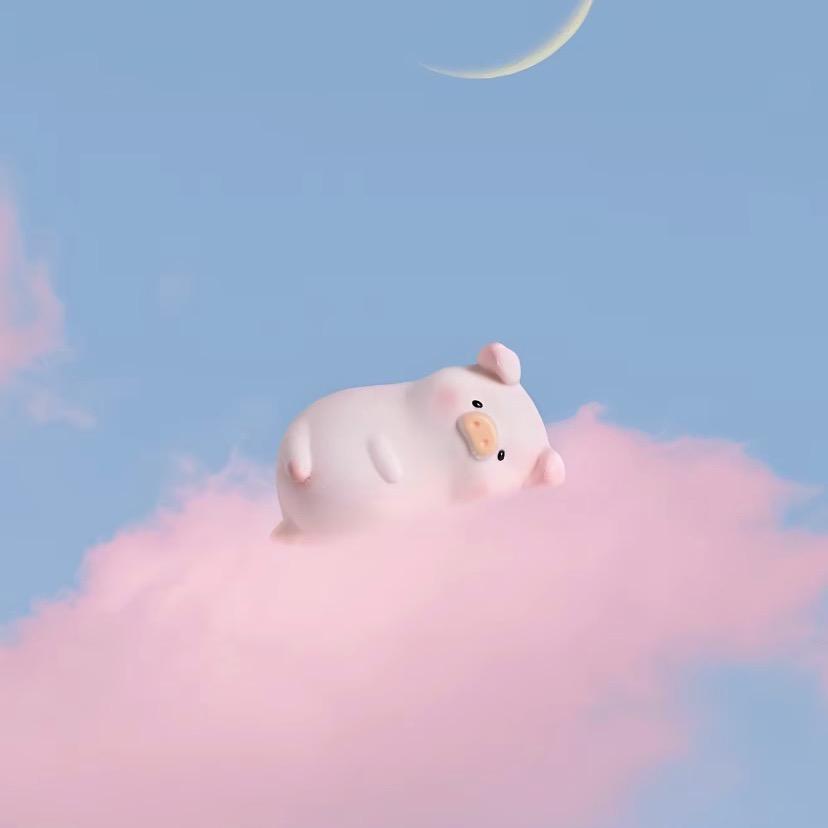 下辈子不一定还能遇见你