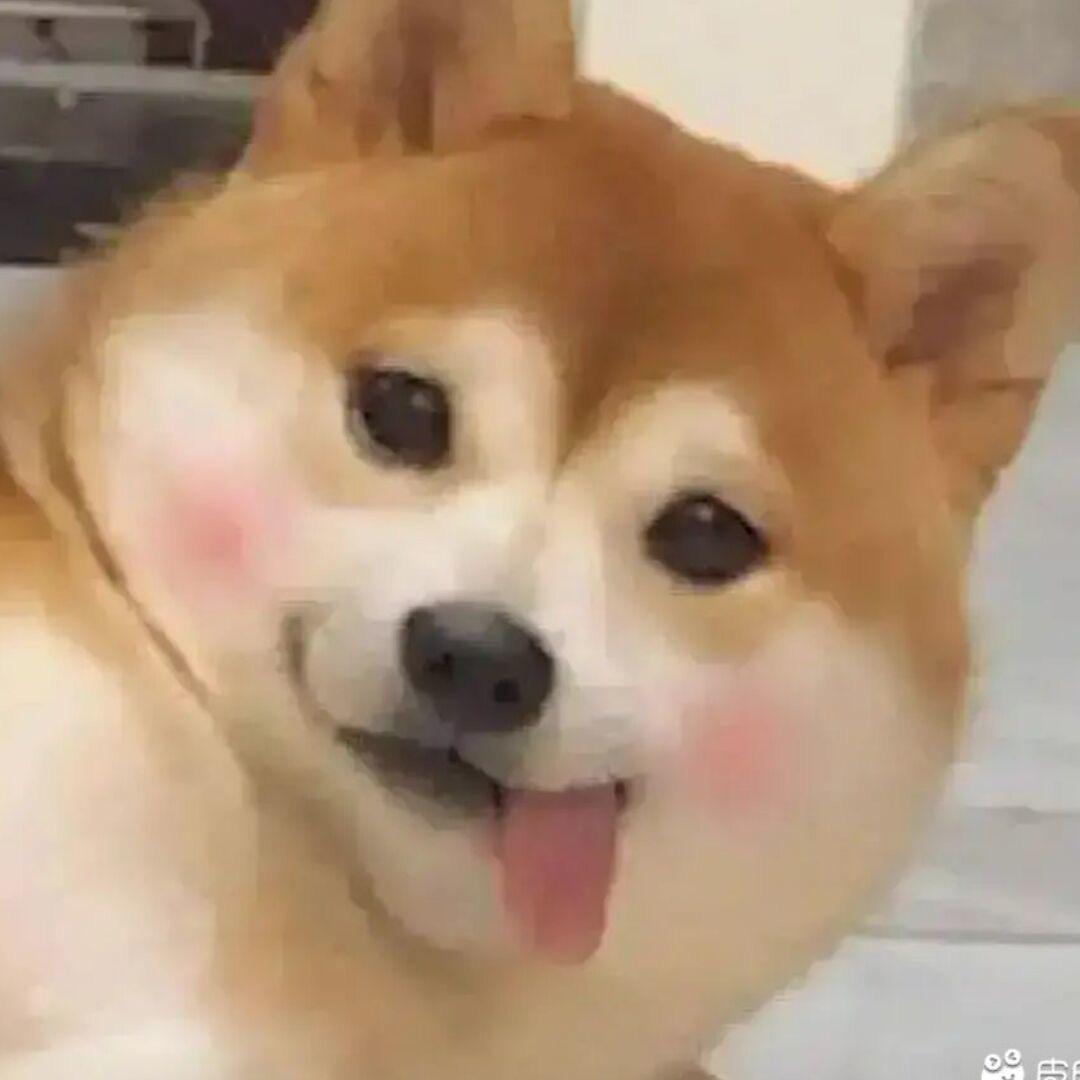 香蕉你个不呐呐