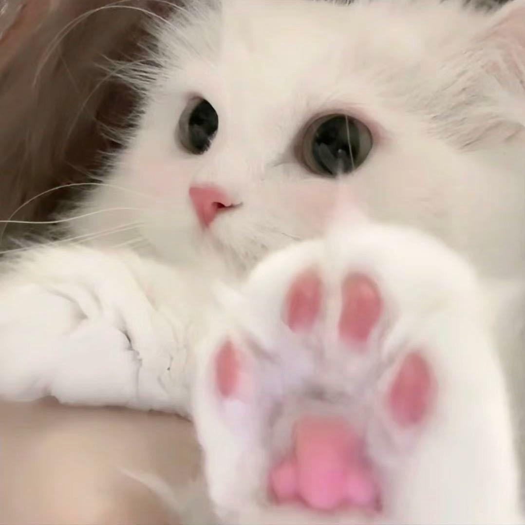 DuoDuo