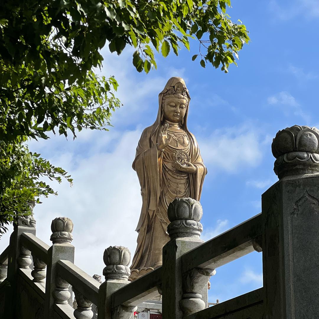 小米🌾
