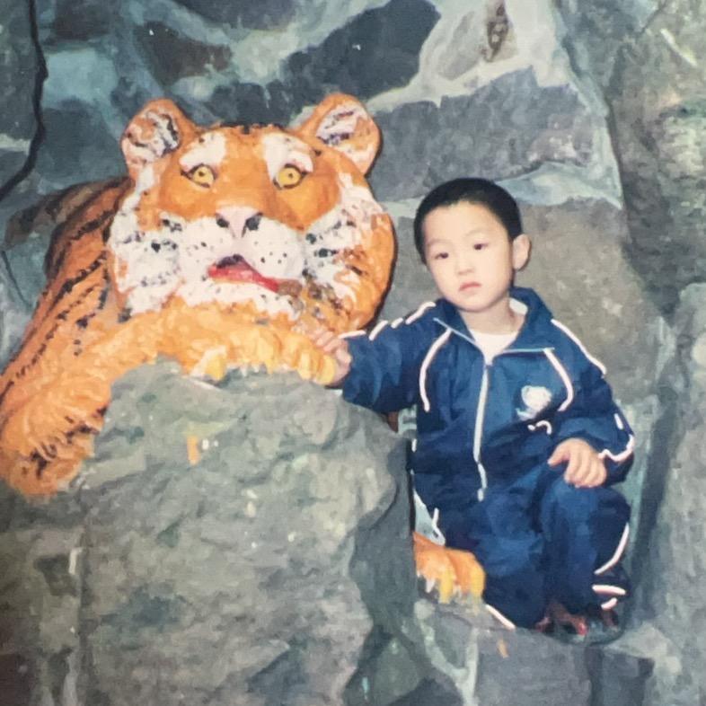 满级小象