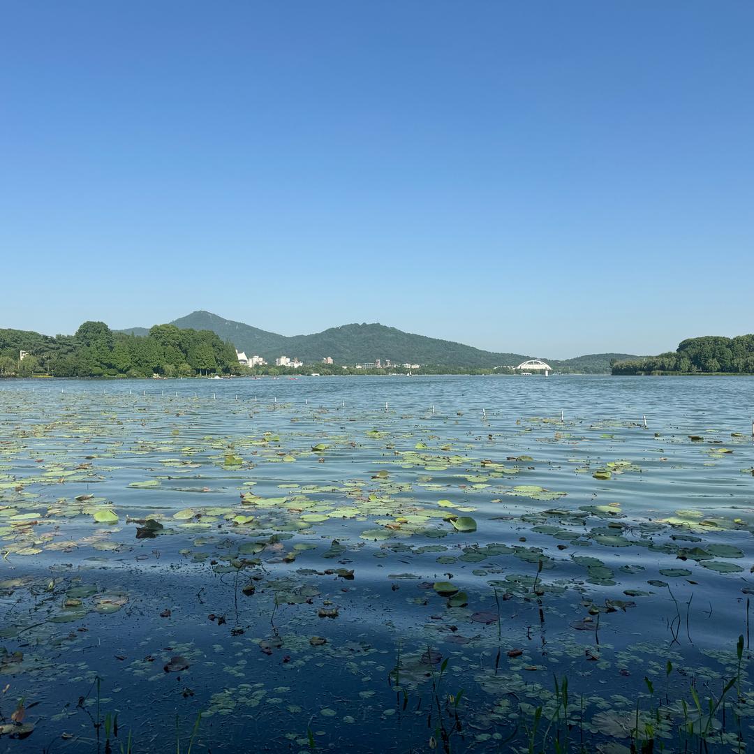 法号：乱来