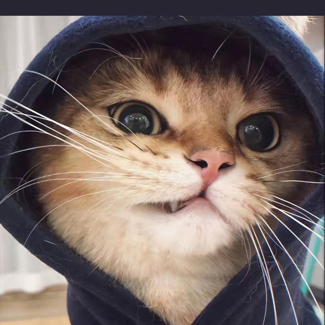 辉辉’