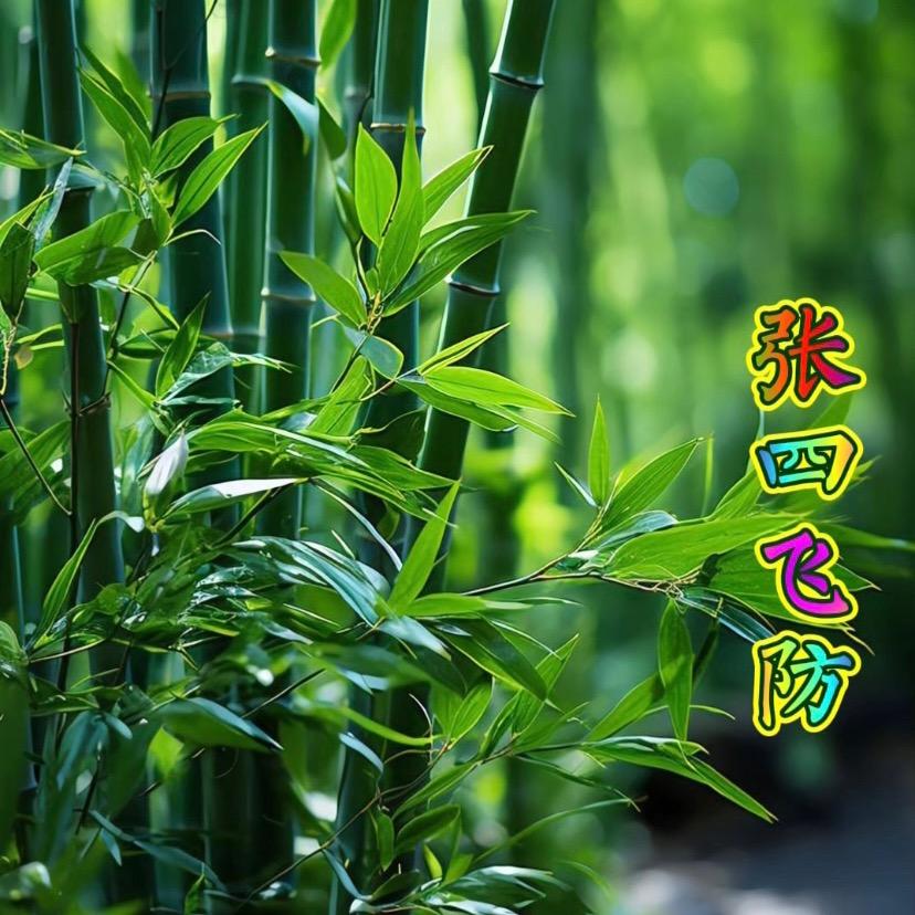 张四「飞防服务」收徒