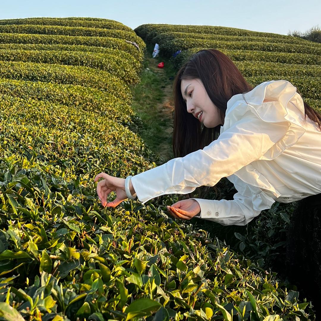 找老尹喝茶聊盏