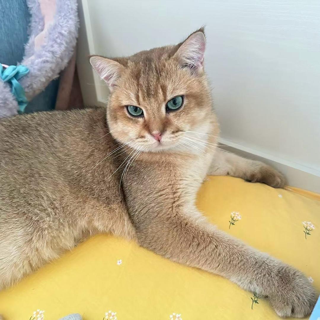 姚大志的媳妇儿爱吃零食