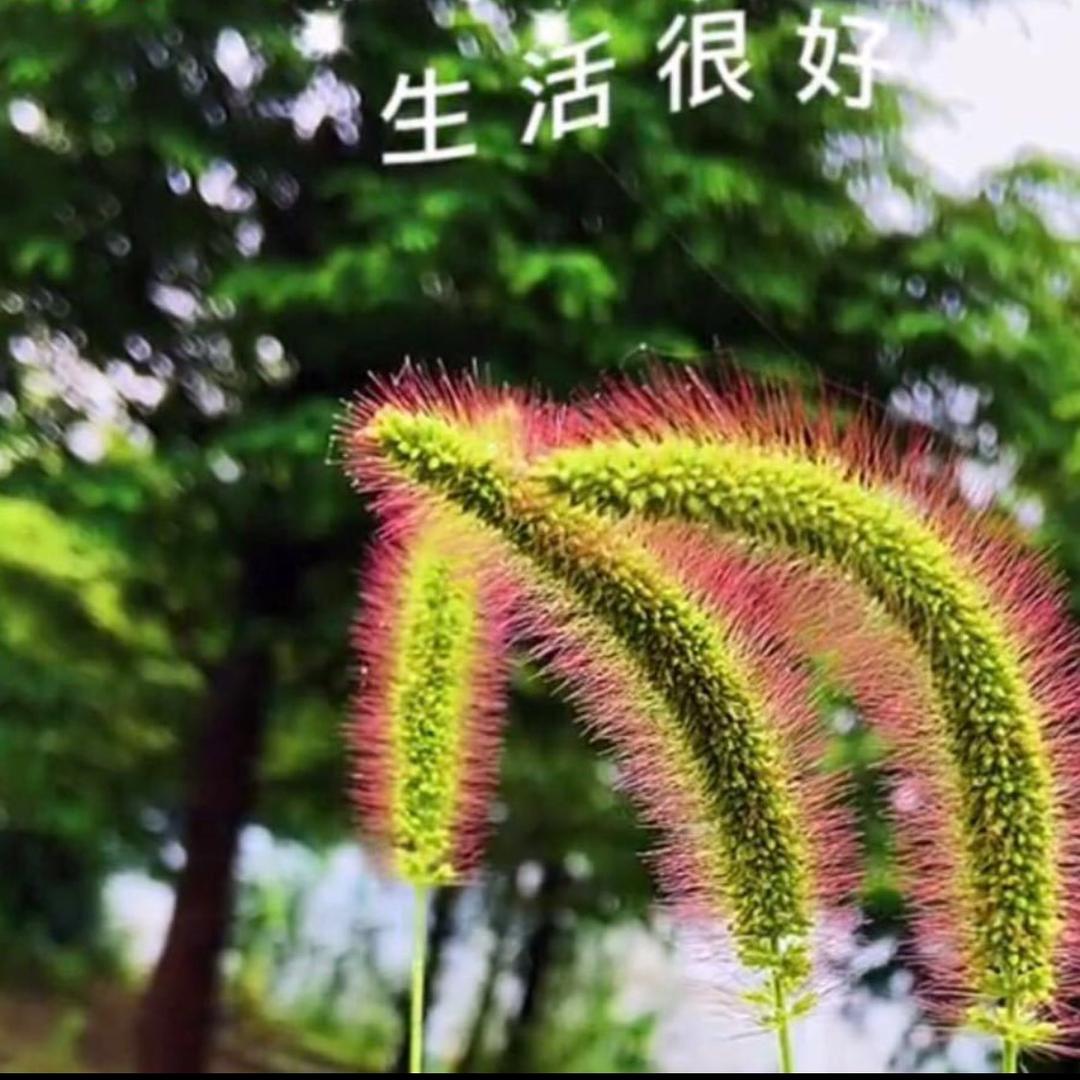 恩．佑