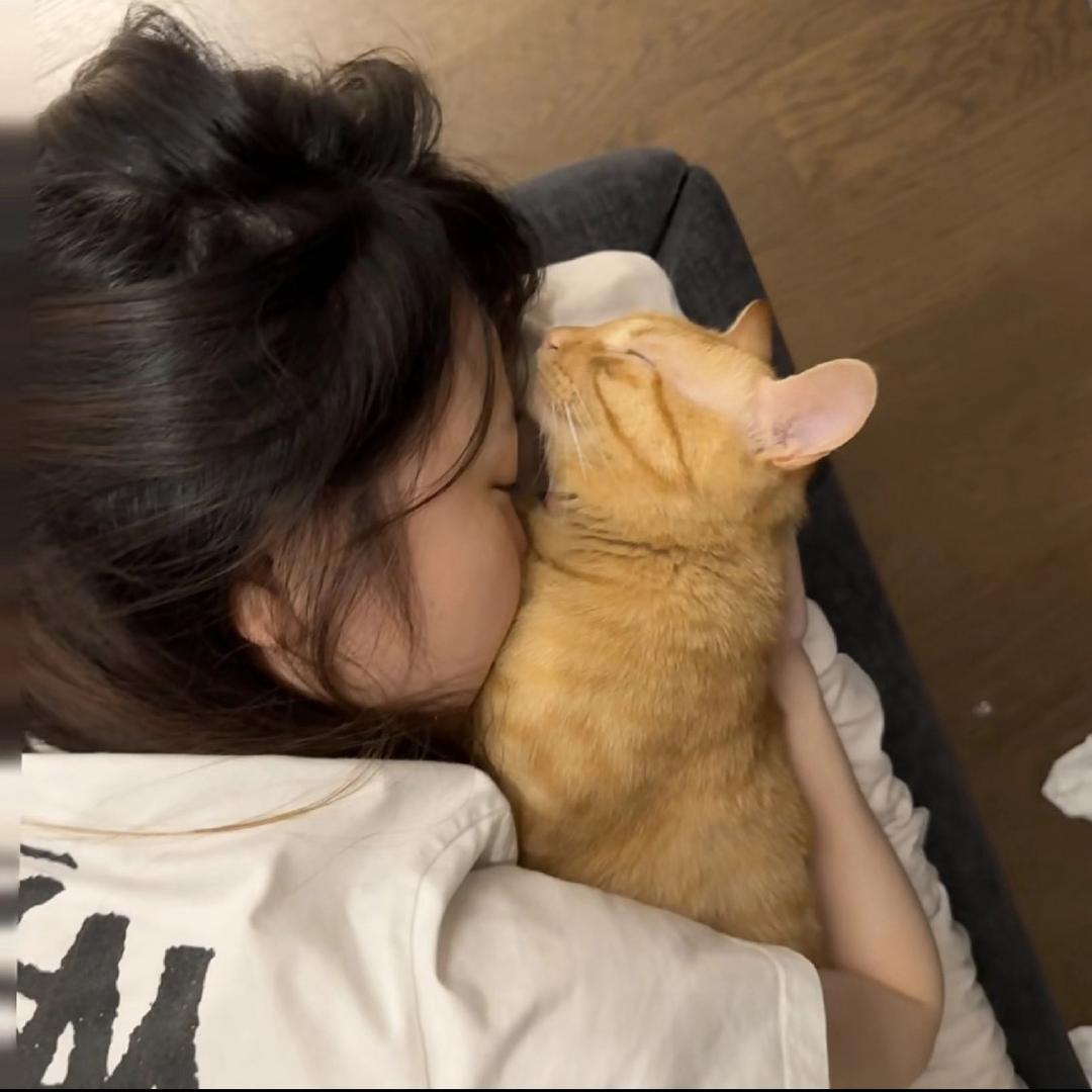 老婆饼里没老婆