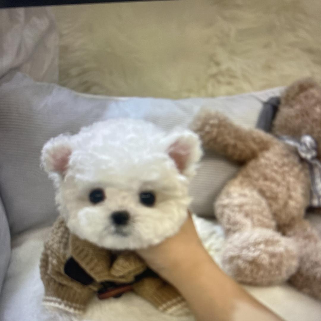 涛阳生活馆