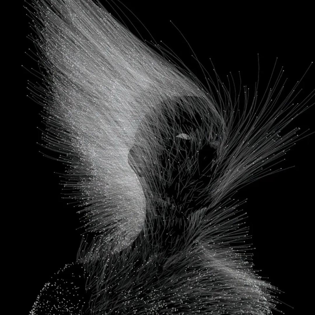 𝙆𝙞𝙩𝙩𝙮.