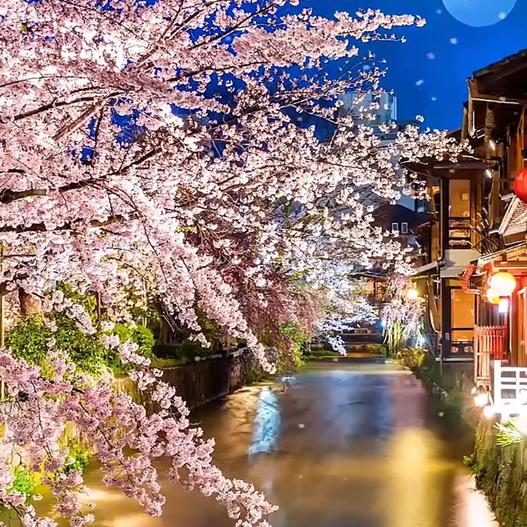 驰隆小超市