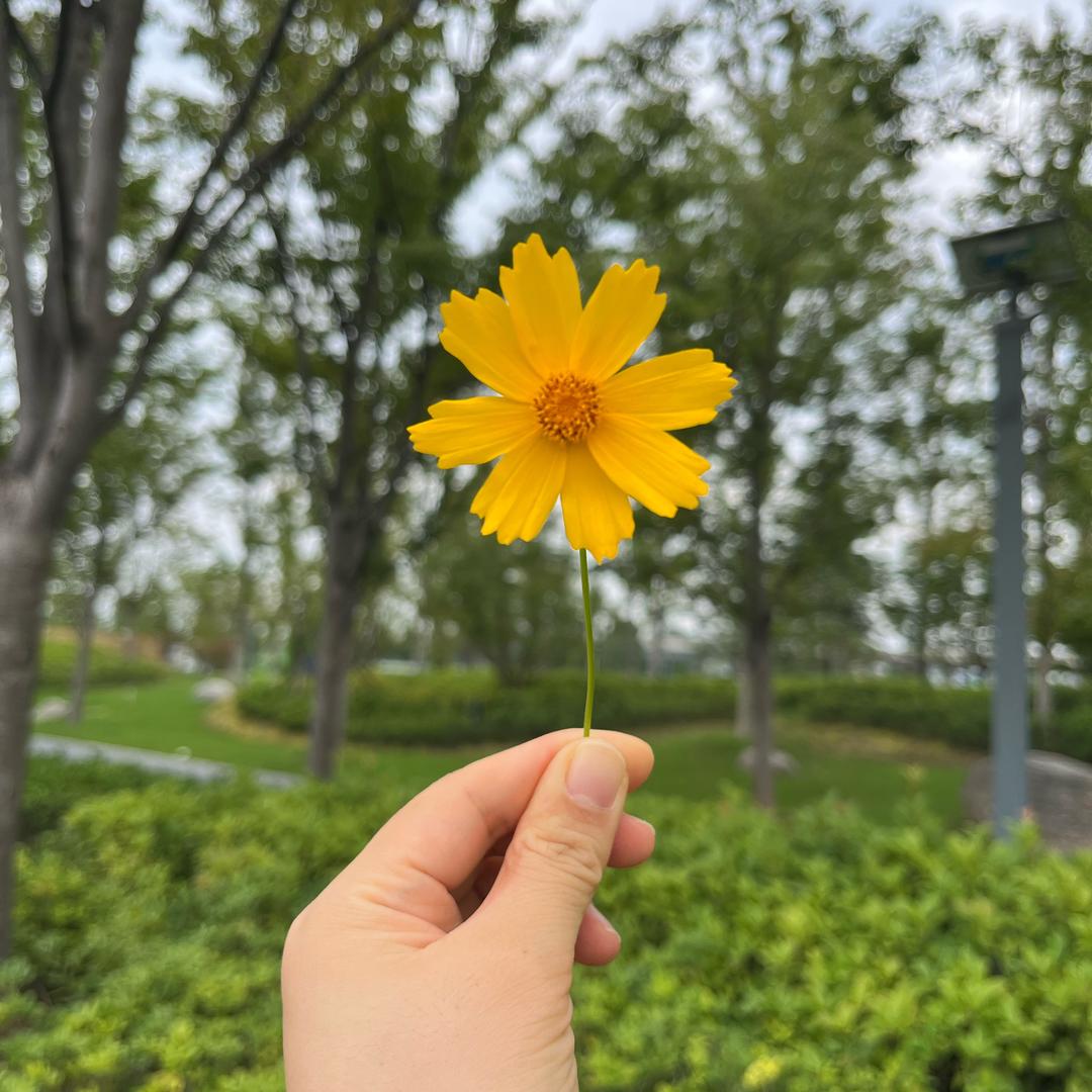 贪吃的叮叮怪👻