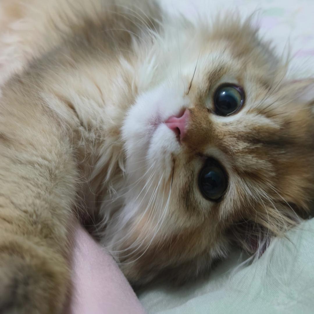奈落