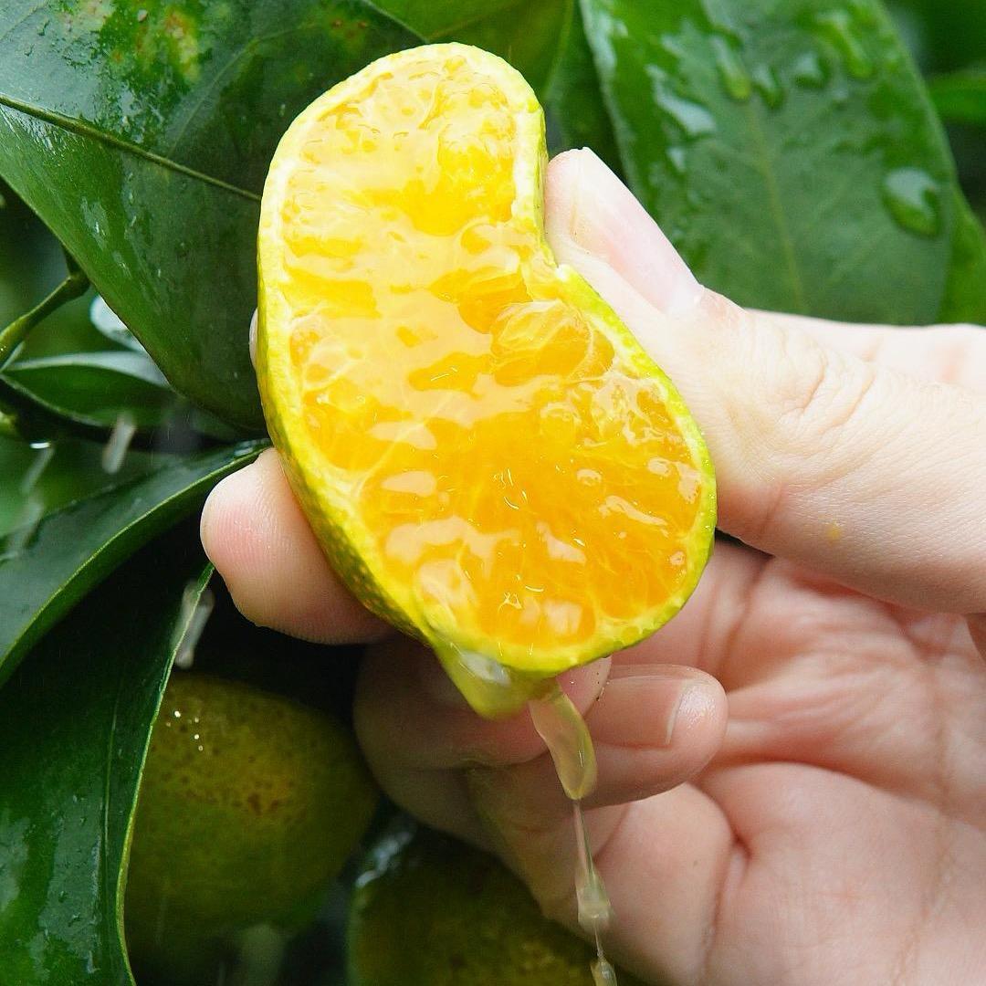 尚品源有机农场