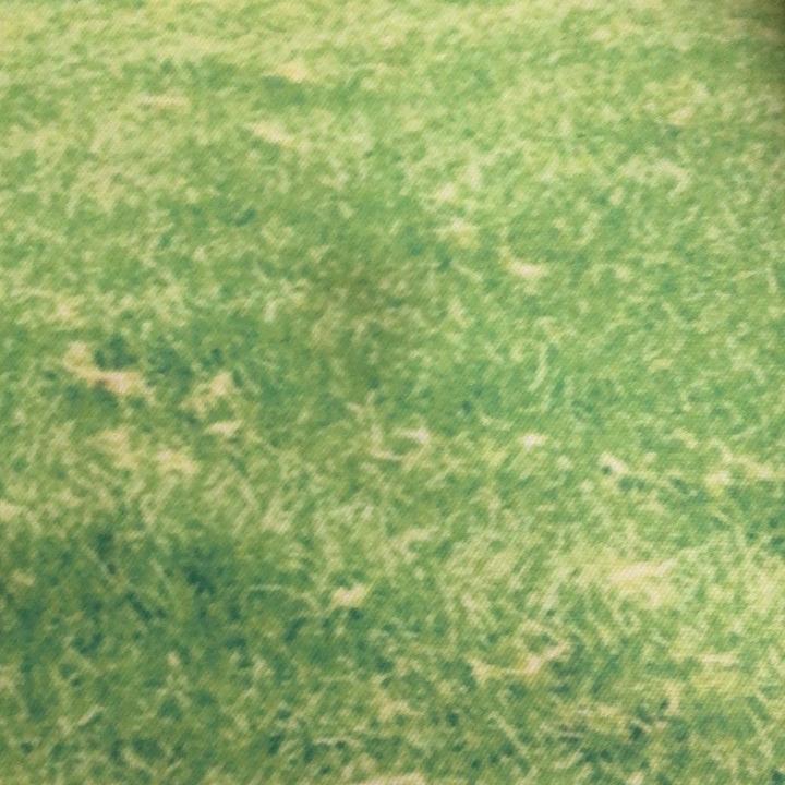 石狮市灵秀镇苏秀莲电子产品经营部（个体工商户）